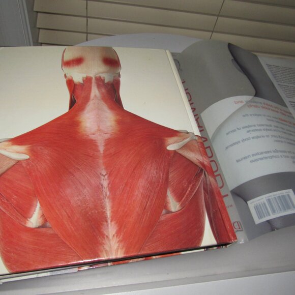 DK The Human Body Book with DVD – Illustrated Anatomy & Physiology Guide Hardcov - Picture 7 of 8